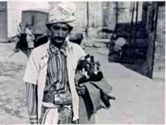 ���� ������ ��� ��� ����